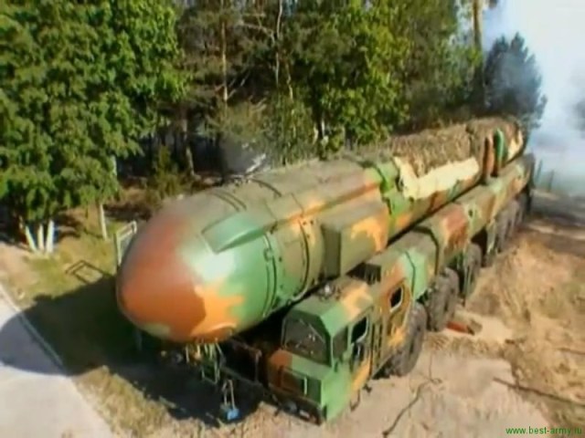 topol в камуфляже.jpg